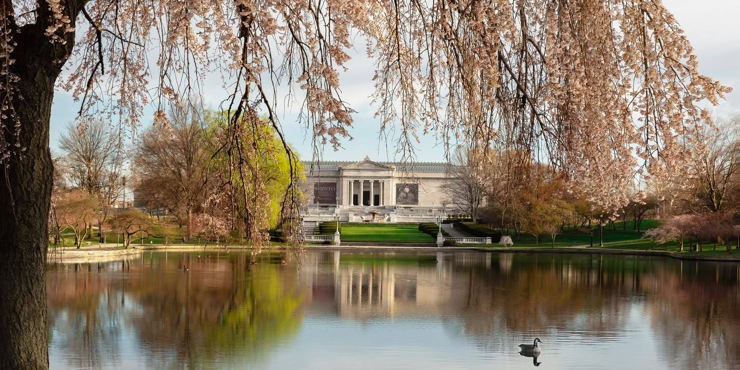 The Cleveland Museum of Art across the lagoon, framed by spring cherry blossoms